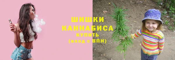 соль ск Заводоуковск
