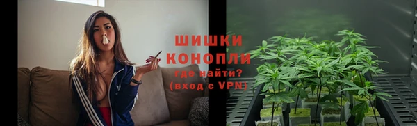 сатива Заволжск