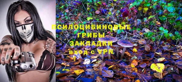 соль ск Заводоуковск