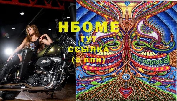бошки Елабуга