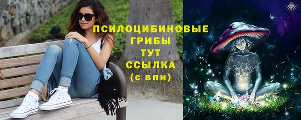 соль ск Заводоуковск