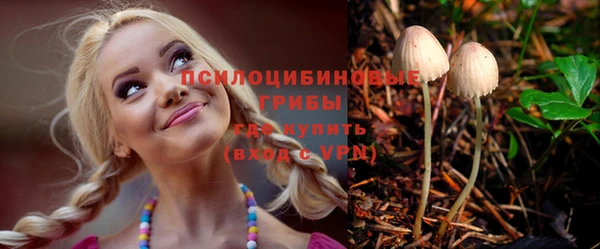 соль ск Заводоуковск