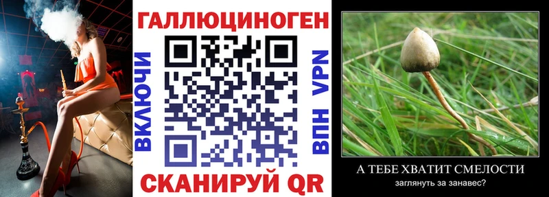 даркнет сайт  Сретенск  Псилоцибиновые грибы MAGIC MUSHROOMS 